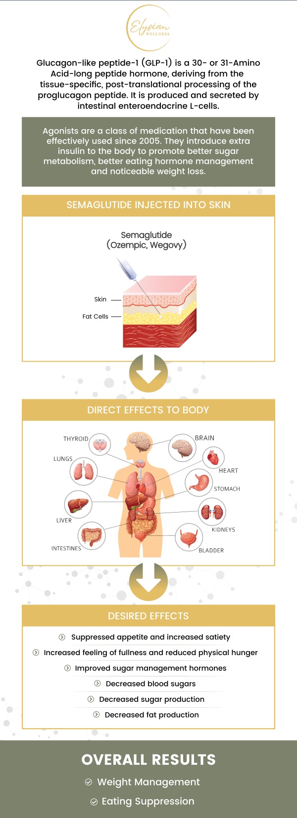 Obesity is a growing health concern, contributing to a range of chronic conditions such as diabetes, heart disease, and joint issues. Managing weight effectively can be challenging, but Semaglutide GLP-1 injections offer a promising solution for medical weight loss. These injections work by regulating appetite, promoting feelings of fullness, and improving metabolic health, making it easier for patients to achieve sustainable weight loss. Visit Dr. Chereena Walker, DO, at Elysian Wellness. For more information, contact us or book an appointment online. We are located at 2112 East 25th Street, Kansas City, MO 64127. Obesity is a growing health concern, contributing to a range of chronic conditions such as diabetes, heart disease, and joint issues. Managing weight effectively can be challenging, but Semaglutide GLP-1 injections offer a promising solution for medical weight loss. These injections work by regulating appetite, promoting feelings of fullness, and improving metabolic health, making it easier for patients to achieve sustainable weight loss. Visit Dr. Chereena Walker, DO, at Elysian Wellness. For more information, contact us or book an appointment online. We are located at 2112 East 25th Street, Kansas City, MO 64127.