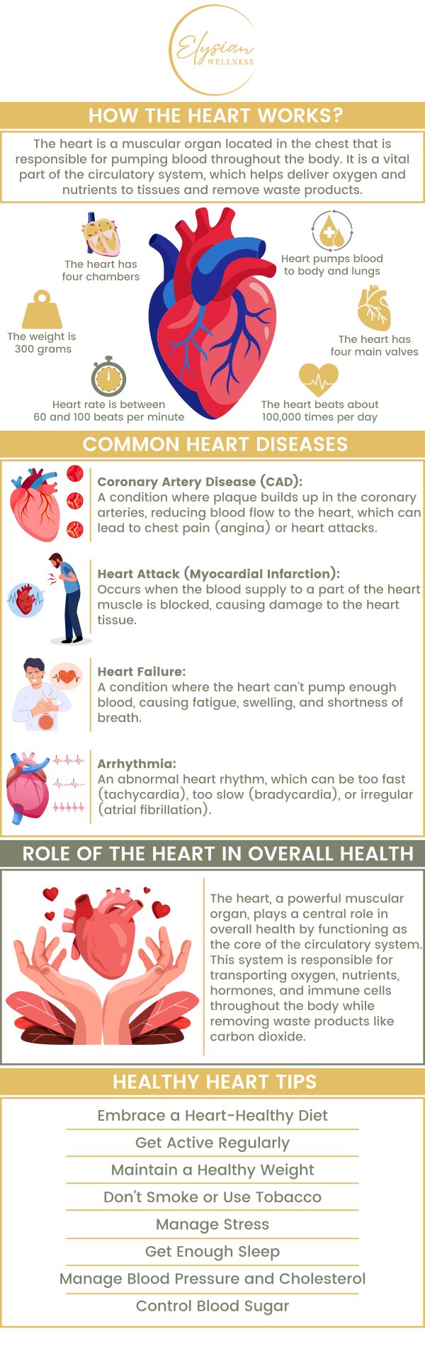 Common questions asked by patients: What are the 4 types of heart disease? Can you live a long life with heart disease? What are 5 signs of heart disease? How do I make my heart-healthy? For more information, contact us or book an appointment online. Visit us at 2112 East 25th Street, Kansas City, MO 64127. We serve patients from Kansas City MO, Sugar Creek MO, Raytown MO, Independence MO, Gladstone MO, Claycomo MO, Pleasant Valley MO, and surrounding areas. Common questions asked by patients: What are the 4 types of heart disease? Can you live a long life with heart disease? What are 5 signs of heart disease? How do I make my heart-healthy? For more information, contact us or book an appointment online. Visit us at 2112 East 25th Street, Kansas City, MO 64127. We serve patients from Kansas City MO, Sugar Creek MO, Raytown MO, Independence MO, Gladstone MO, Claycomo MO, Pleasant Valley MO, and surrounding areas.