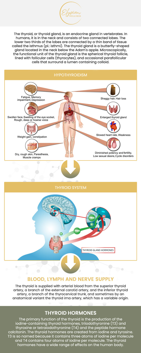 Common questions asked by patients: What are thyroid disorders, and how do they affect the body? What causes thyroid disorders, and who is at risk? What are the common symptoms of thyroid disorders? How is a thyroid disorder diagnosed? For more information, contact us or book an appointment online. Visit us at 2112 East 25th Street, Kansas City, MO 64127. We serve patients from Kansas City MO, Sugar Creek MO, Raytown MO, Independence MO, Gladstone MO, Claycomo MO, Pleasant Valley MO, and surrounding areas.