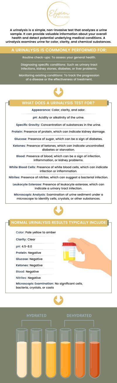 Common questions asked by patients: What is urinalysis with reflex culture, and how does it differ from a standard urinalysis? Why is a reflex culture performed after a urinalysis? What types of infections or conditions can a urinalysis with reflex culture help diagnose? How long does it take to get results from a urinalysis with reflex culture? For more information, contact us or book an appointment online. Visit us at 2112 East 25th Street, Kansas City, MO 64127. We serve patients from Kansas City MO, Sugar Creek MO, Raytown MO, Independence MO, Gladstone MO, Claycomo MO, Pleasant Valley MO, and surrounding areas. Common questions asked by patients: What is urinalysis with reflex culture, and how does it differ from a standard urinalysis? Why is a reflex culture performed after a urinalysis? What types of infections or conditions can a urinalysis with reflex culture help diagnose? How long does it take to get results from a urinalysis with reflex culture? For more information, contact us or book an appointment online. Visit us at 2112 East 25th Street, Kansas City, MO 64127. We serve patients from Kansas City MO, Sugar Creek MO, Raytown MO, Independence MO, Gladstone MO, Claycomo MO, Pleasant Valley MO, and surrounding areas.