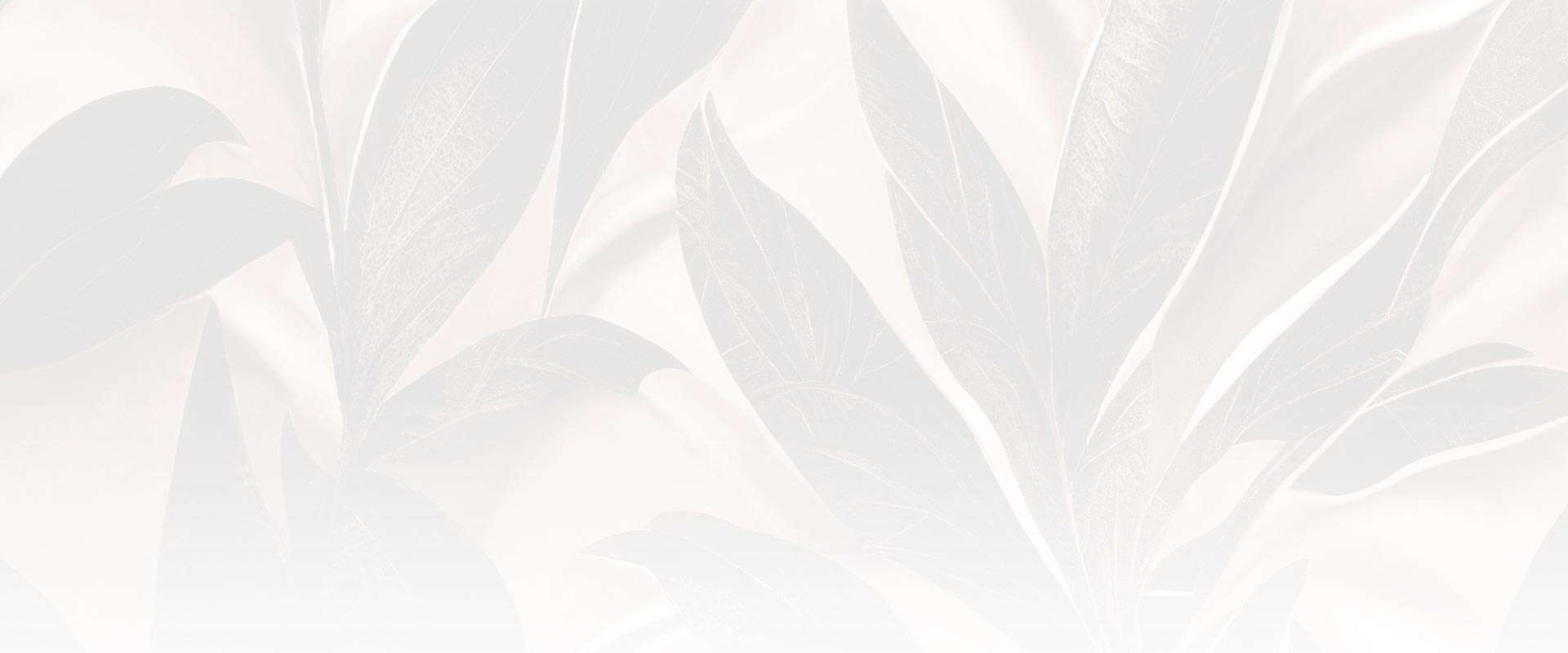 Start Your Journey With a Top-Rated Elysian Wellness in Kansas City, MO